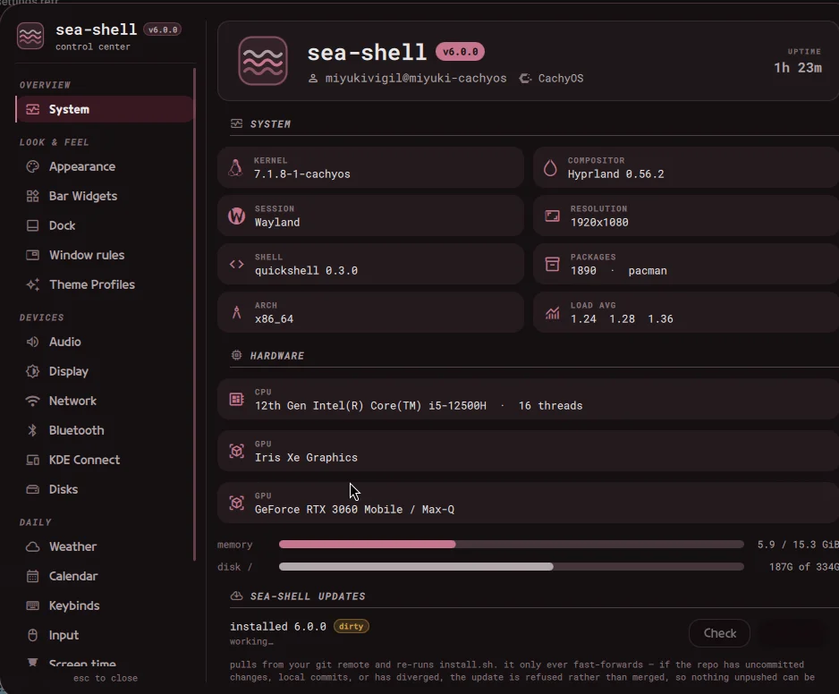 The System tab: kernel, compositor, hardware, memory and disk